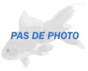 Copella arnoldi Charakter Droser