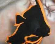 Platax pinnatus Rote Chauve-Sourris